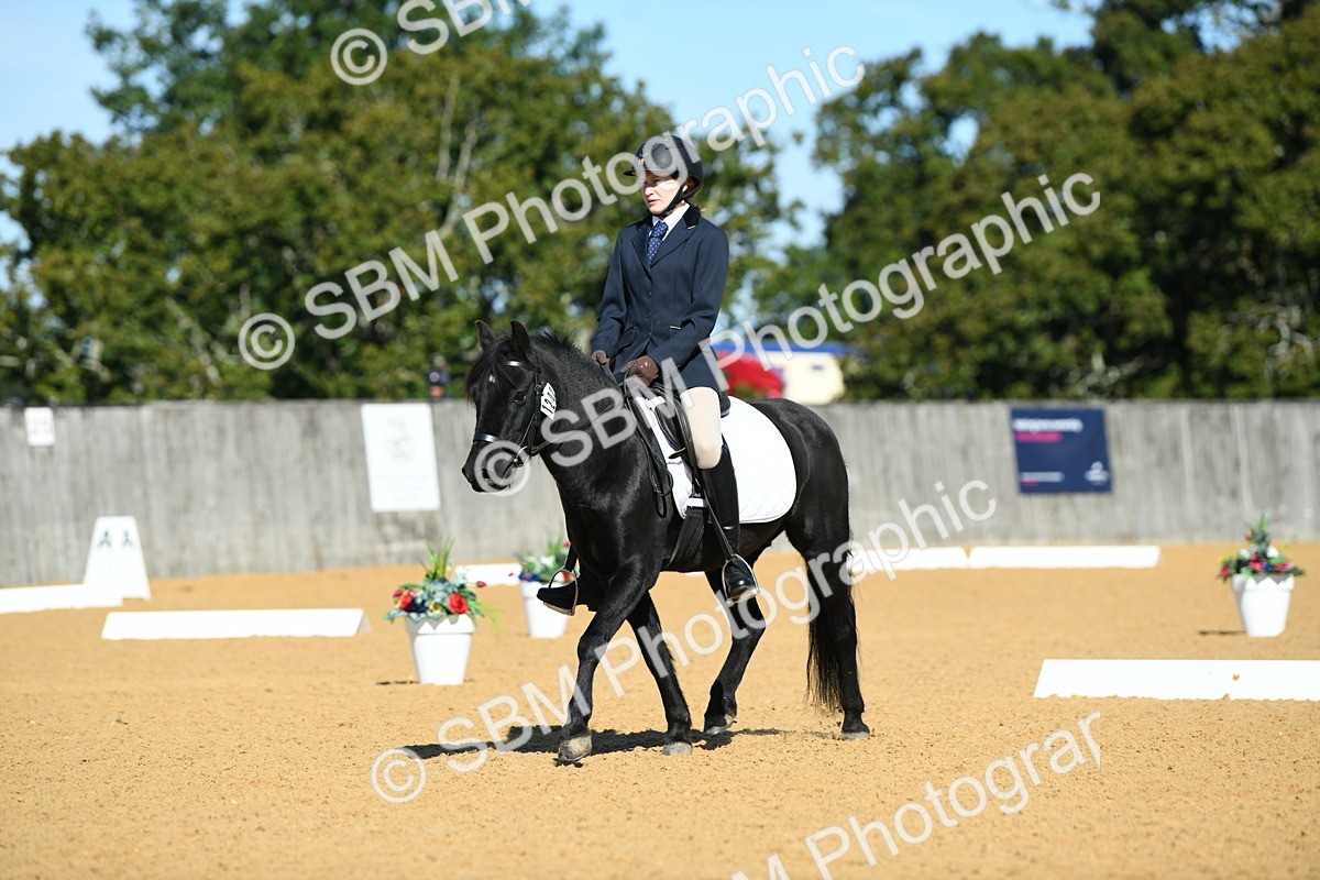 SBM_18179 - D4 - Small Tour Championship - Intro B