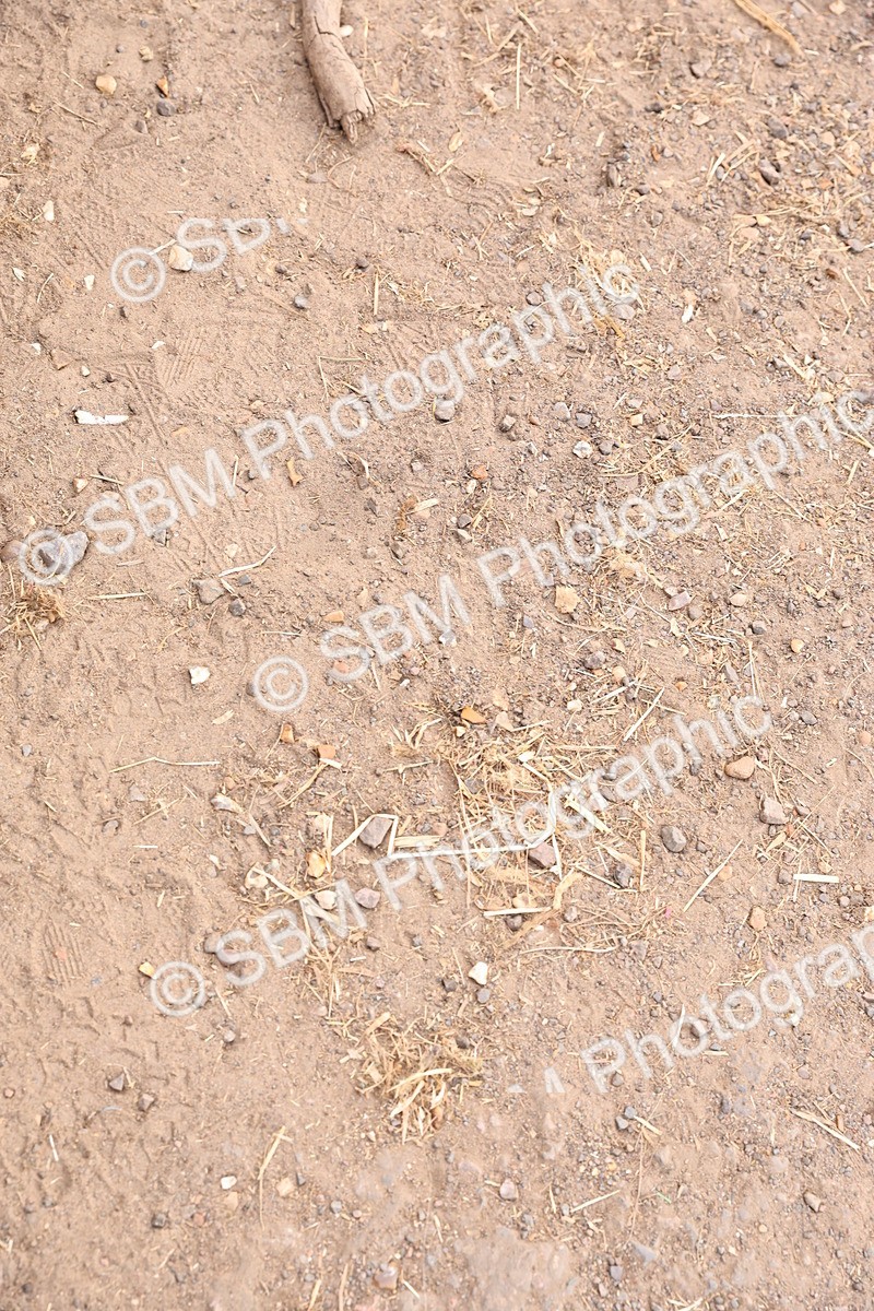 SBM_007899 - Presentations - 26-8-25