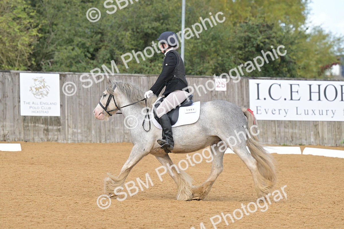 SBM_03746 - D2 - Small Tour Championship Intro 2