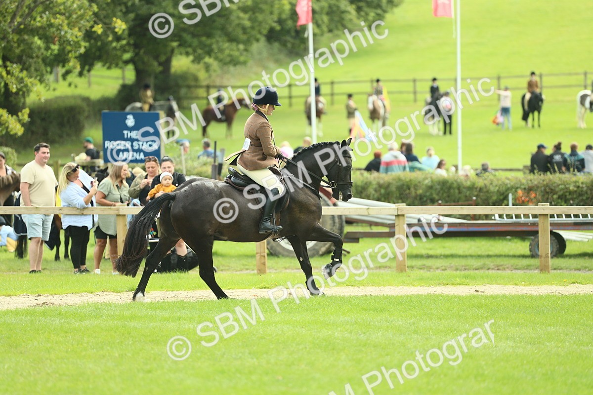 SBM_44757 - S31 - Working Hunter Pony
