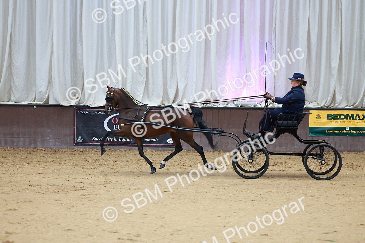 SBM_000634 - Class 9 - HHS Championship Intl Hackney Pony to a Showwagon