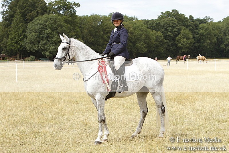 _BS_1031 - Working Hunter Championship BVRC Show 2018
