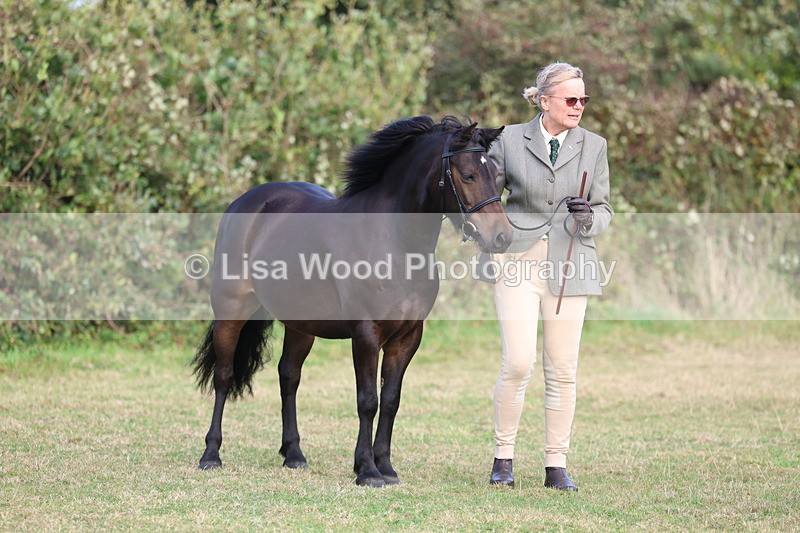 3E7A3241 - Class 12: M & M Small Breeds