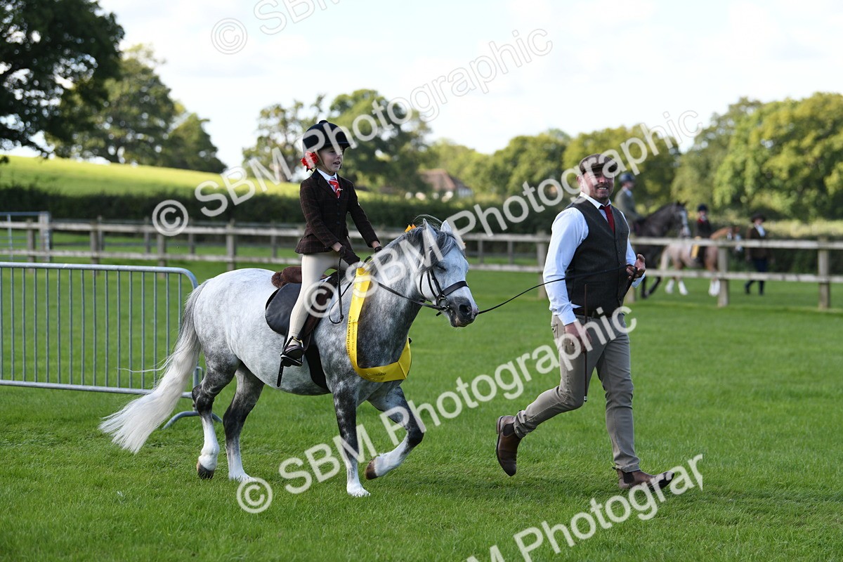 SBM_39700 - S18 - Novice & Newcomers Lead Rein Pony