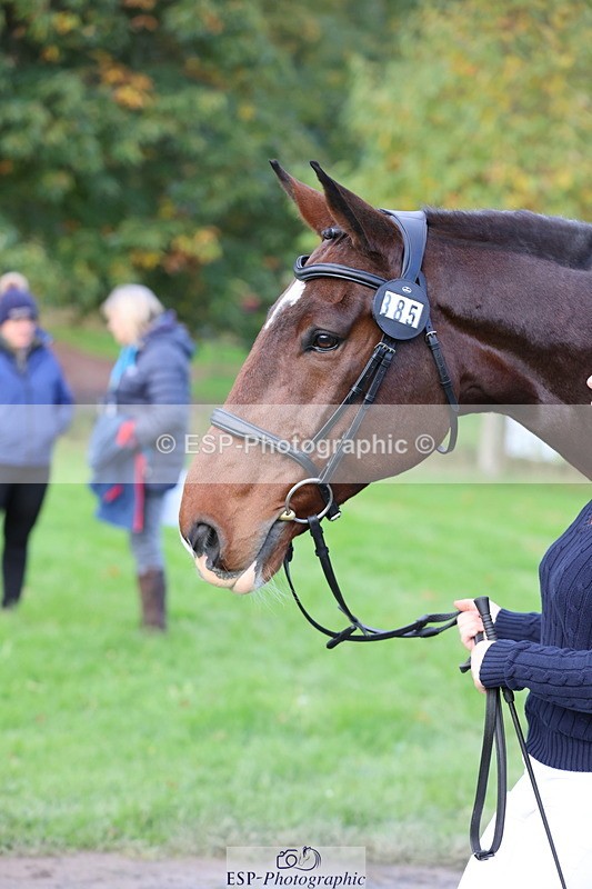 251026A-102608-22988 - E-385-Delilah.Wood