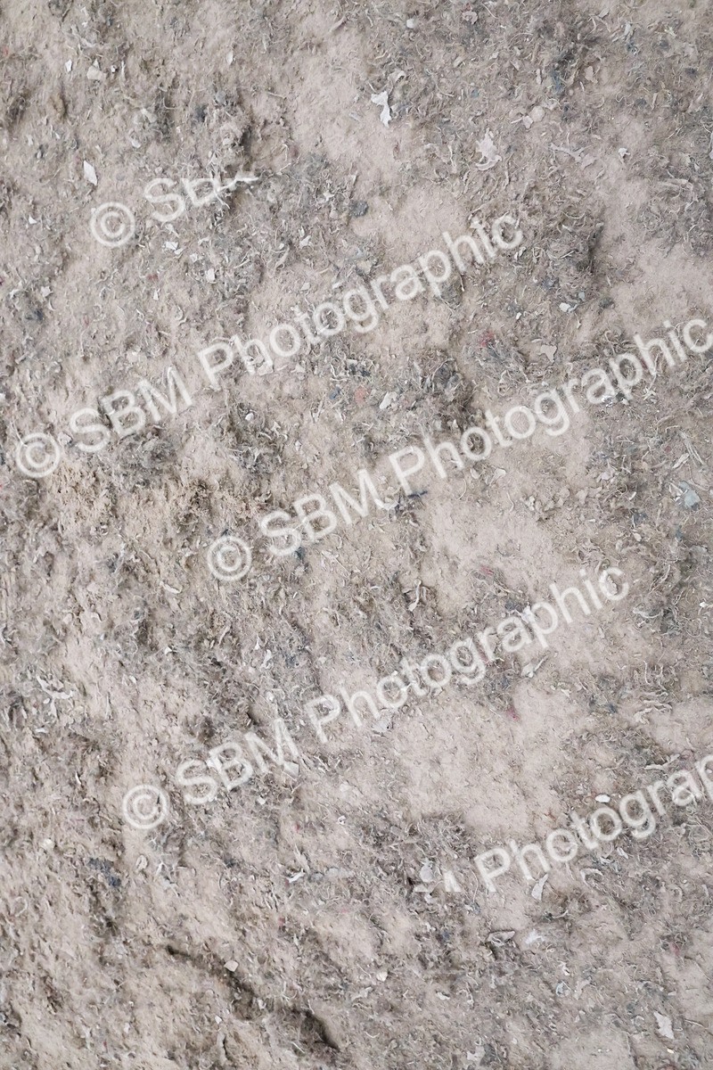 SBM_010673 - Presentations