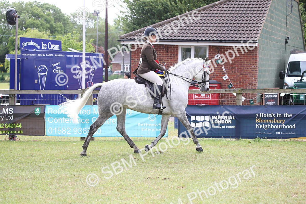 SBM_13168 - Class 95-96 - LIHS BSHA Rising Star Hack Riding Horse