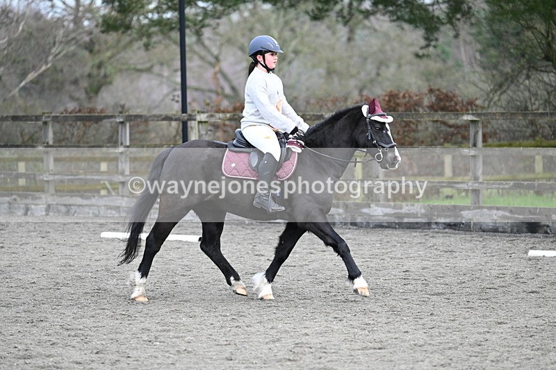 WJ7_4747 - Time 11:20 to 11:32