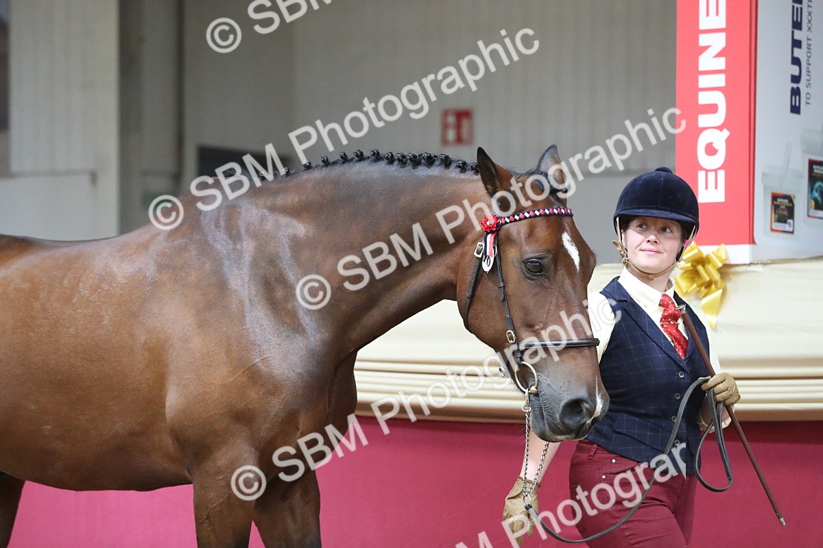 SBM_06208 - Class 9R Regional- IH Pre Vet