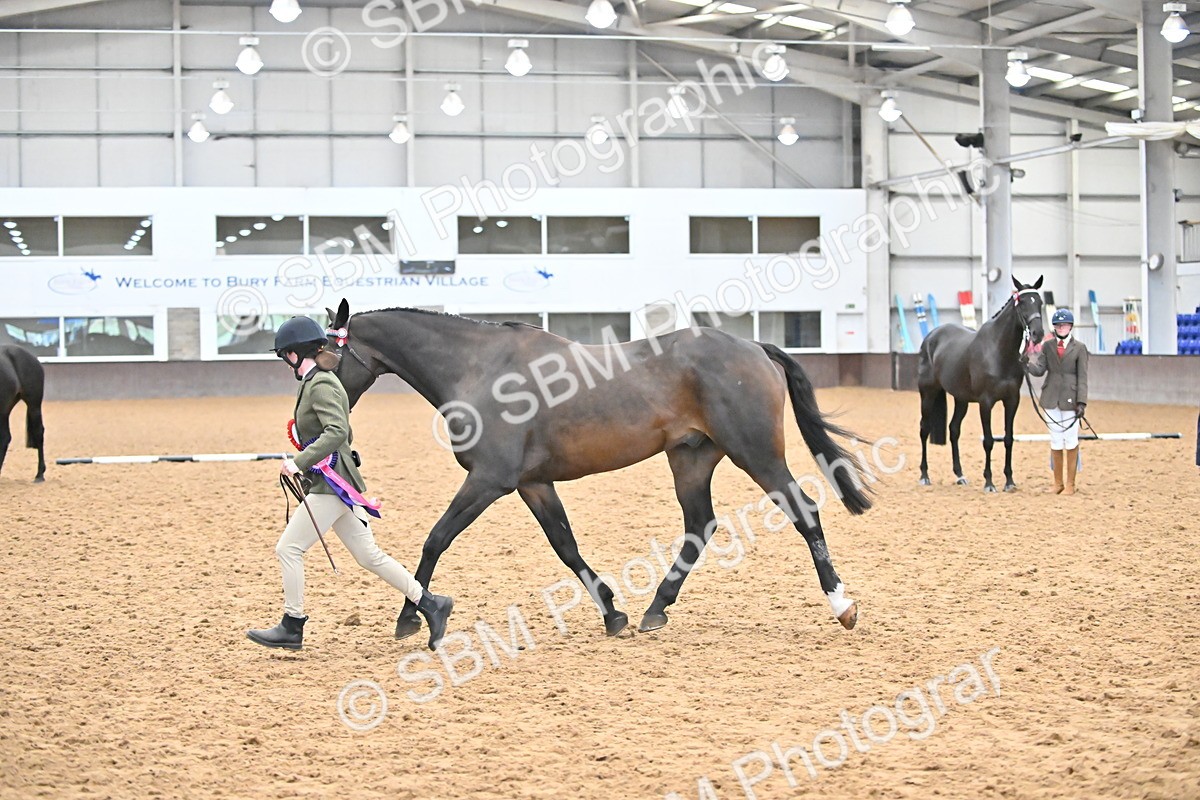 SBM_000774 - Class 16 - In Hand Showing Supreme Championships