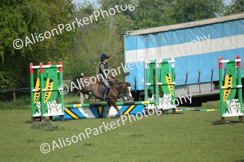 20260426-0226 - Class 13 - Rookie Jumping 50cm