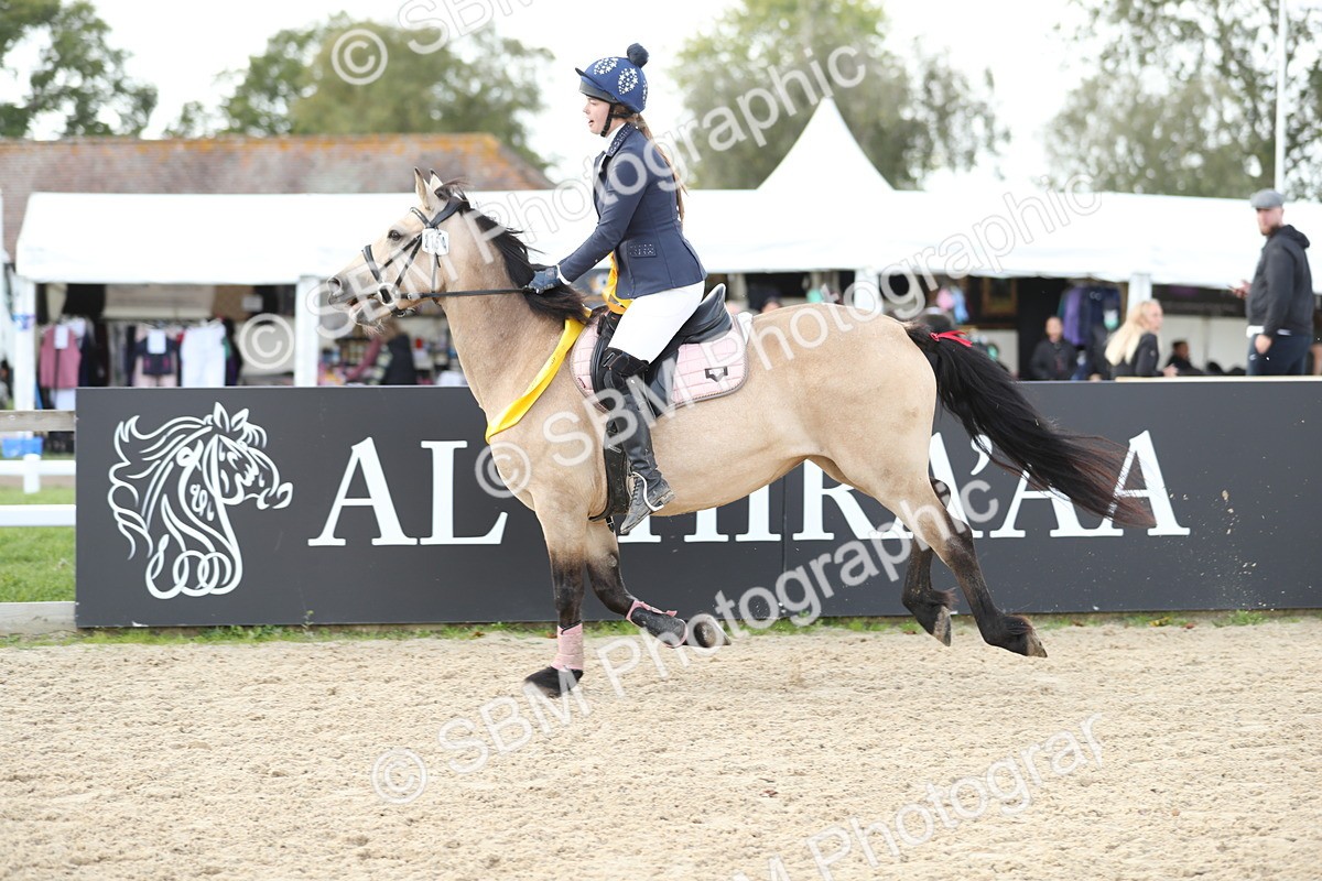 SBM_06574 - J29 - Senior Horse & Pony 65cm Championship