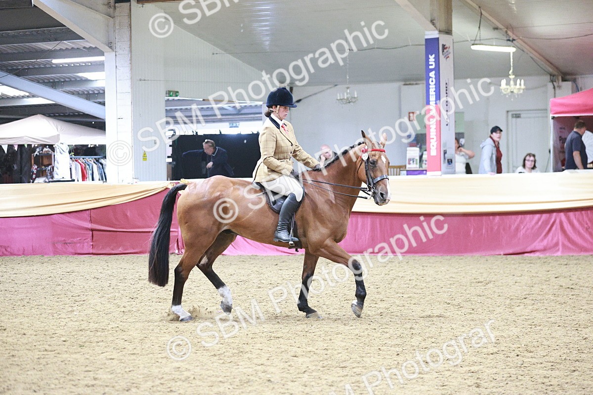 SBM_08183 - Class 11R - Regional Ridden Veteran