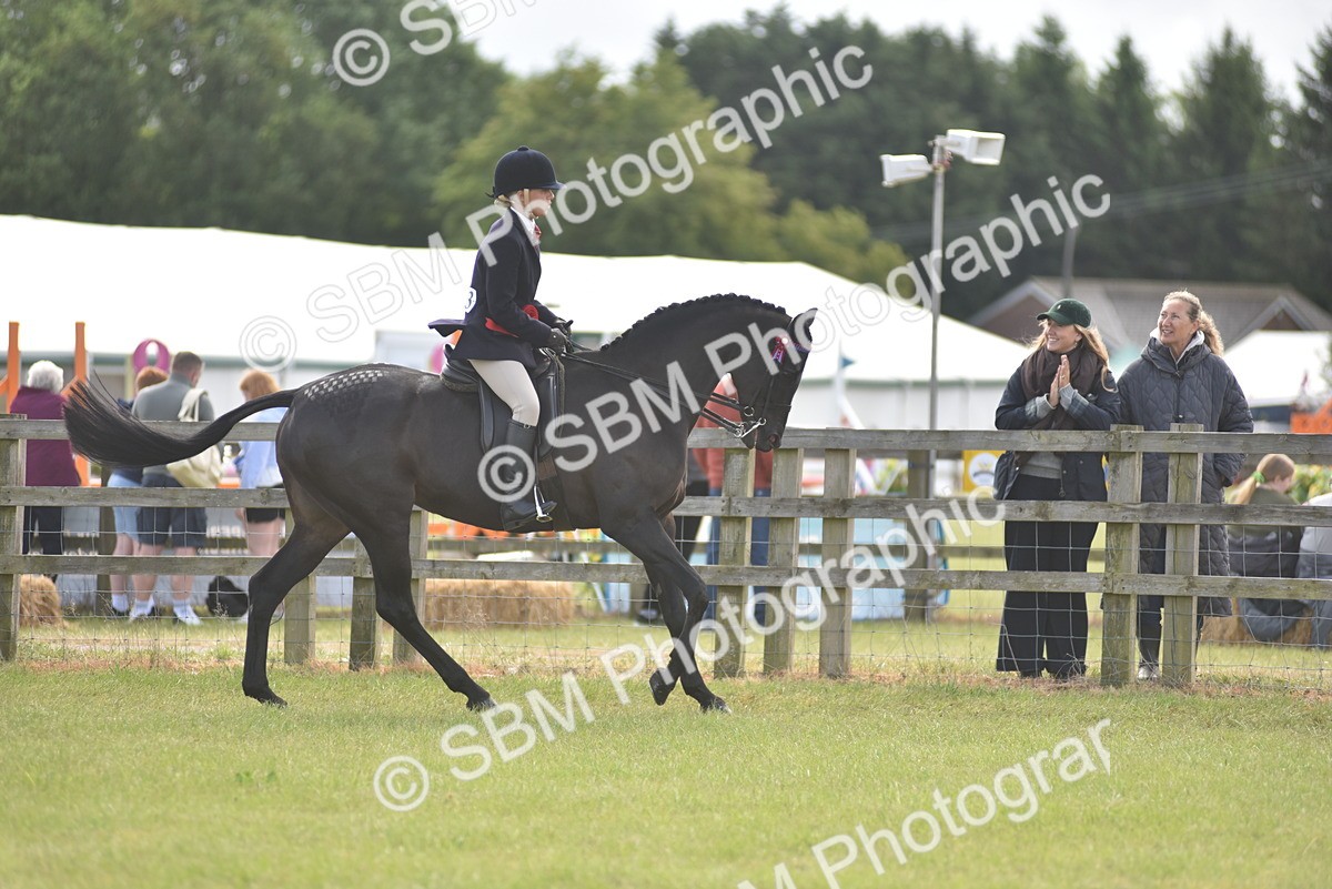 SBM_12156 - Class 110-112 - LIHS BSPS Performance Pones