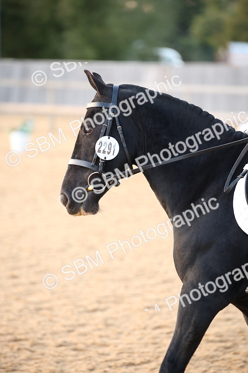 SBM_31651 - D11 - Small Tour Championship - Prelim 13