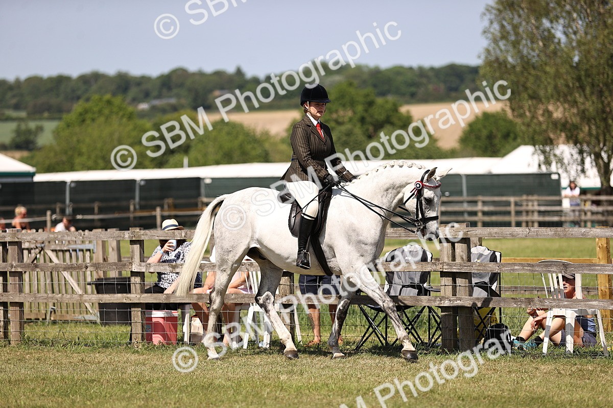 SBM_17982 - Class 81-83 - TSR Ridden Amateur of the Year - Horses