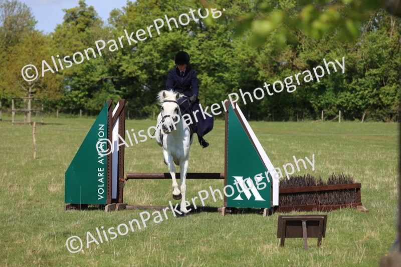 20250427-2549 - Class 20 - Working Hunter Ponies