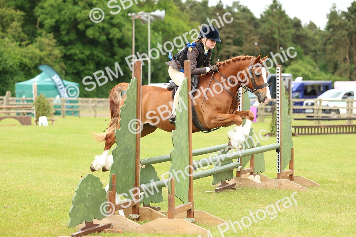 SBM_10337 - Class 44-45 - LIHS BSPS Open Nursery and Cradle Stakes