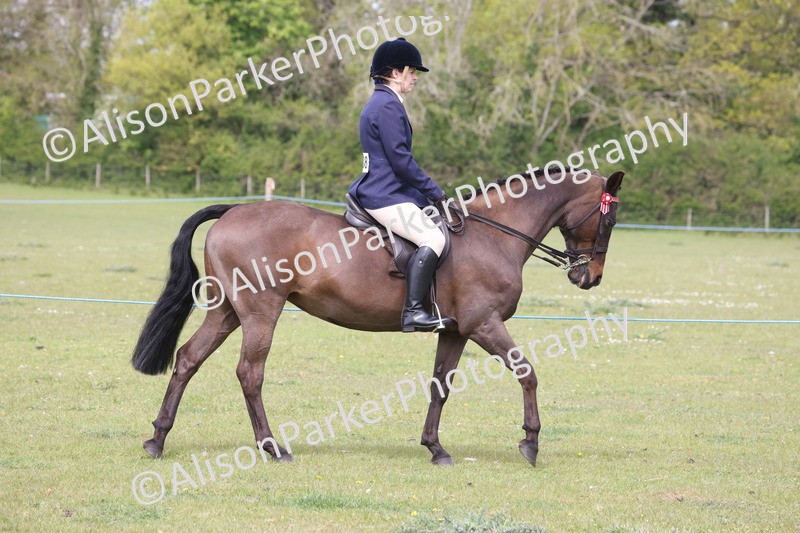 20260426-2905 - Class 33 - Best Pony 14.2hh and Under