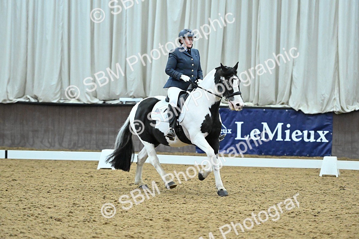 SBM_007408 - Class 81 - Novice 3