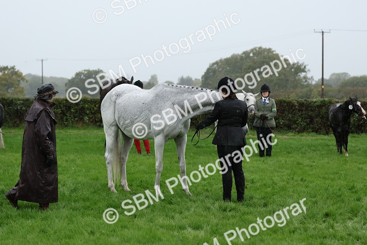 SBM_35314 - S10 - Best In Hand Horse & Pony