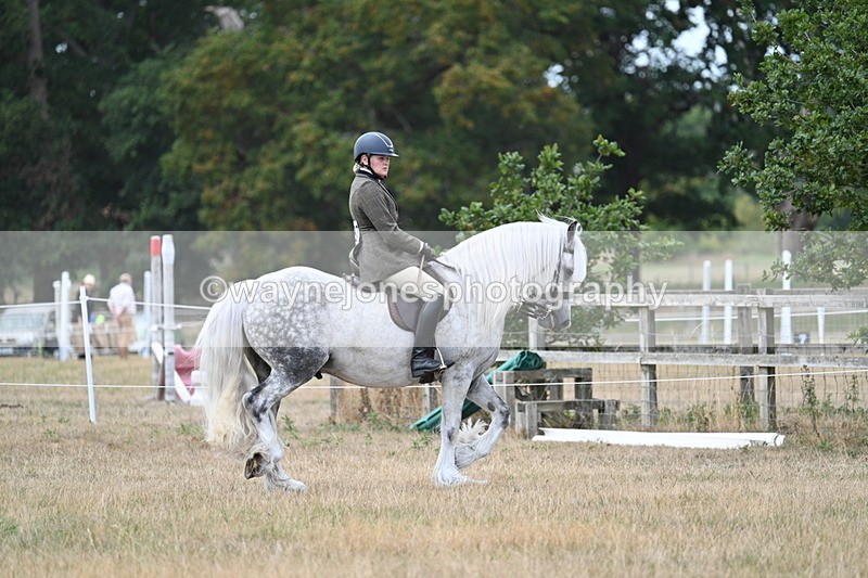 WJ7_4718 - Class 12 Ridden Cob