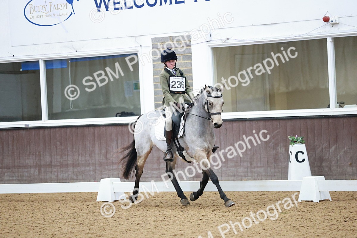 SBM_003780 - Class 2 - Novice 2020