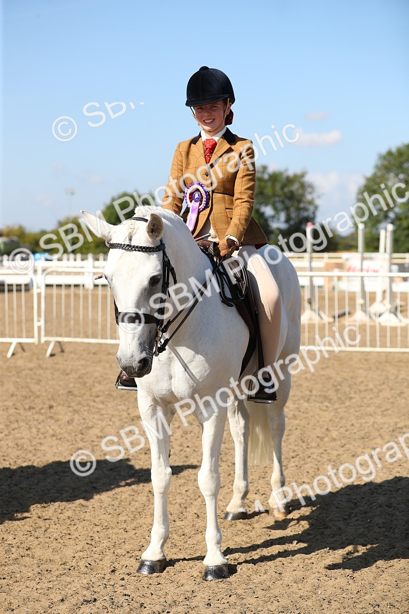 SBM_02399 - Class 43 Ridden Competition Horse/Pony