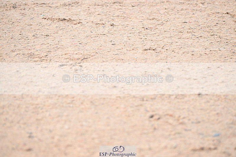 250424-094609-03696 - Cls 13 - 1 Star Bronze Tour