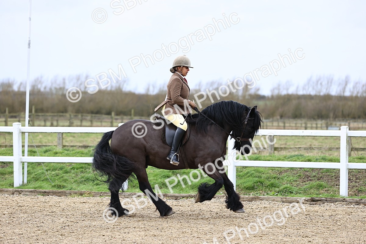 SBM_006922 - Class 29 - 30 - M&M Pure Novice Small-Large Breeds