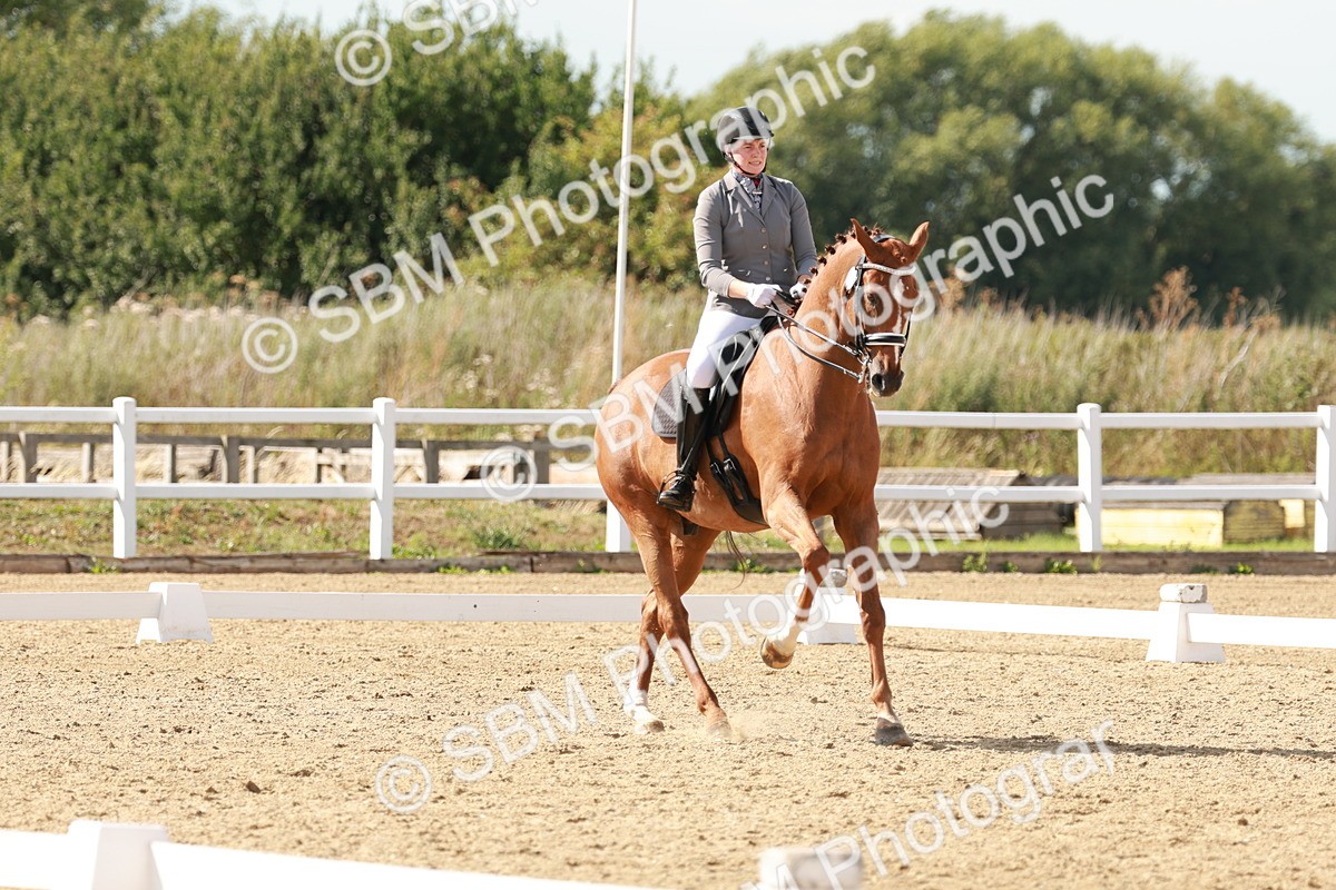 SBM_002533 - Class 11 - Medium 6