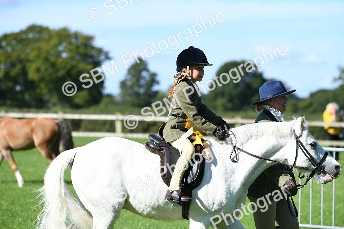 SBM_37121 - S18 - Novice & Newcomers Lead Rein Pony