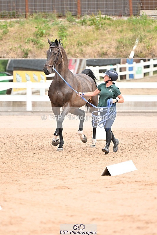 250716-143928-01262 - Trot Up 2.30 to 3.30