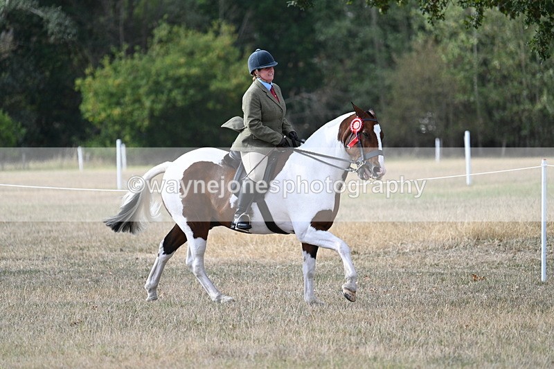 WJ7_7726 - Ridden Championship