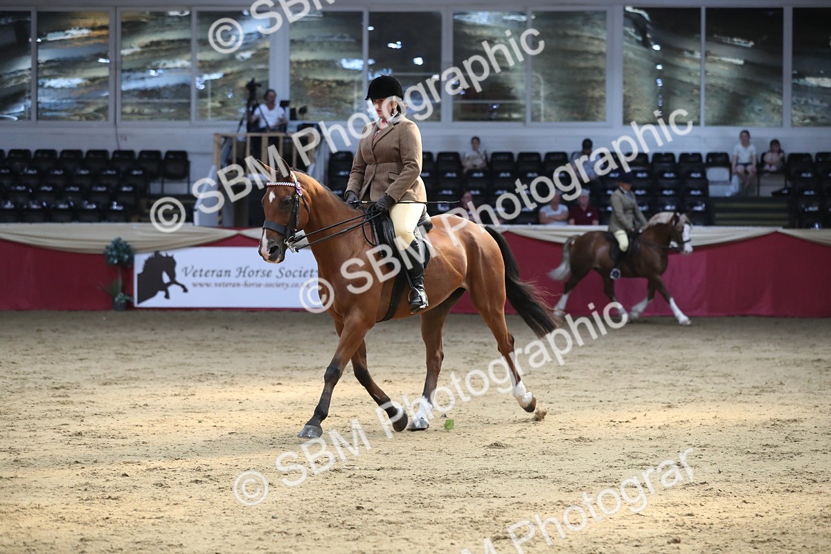 SBM_08325 - Class 11R Regional Ridden Veteran