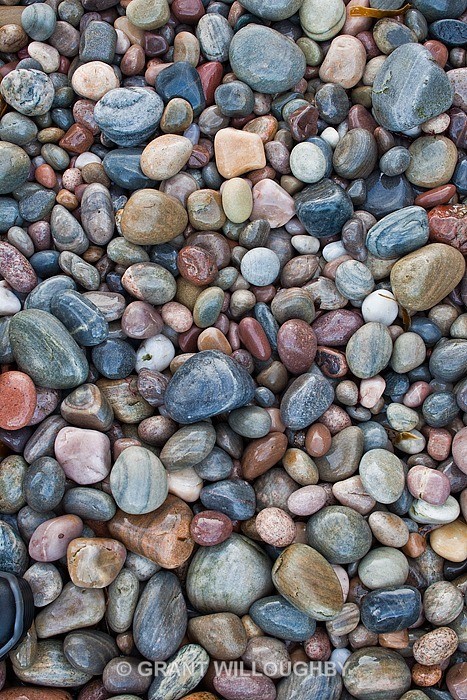 Tarbet Ness shore detail 2 - Shoreline Detail