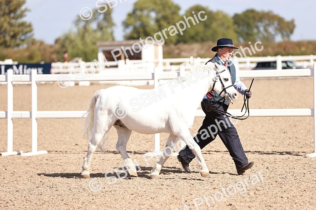 SBM_22895 - Class 706 - IH Veteran