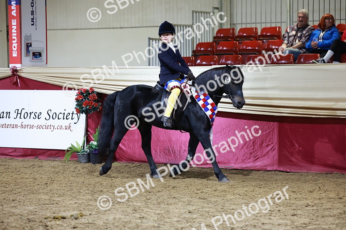 SBM_21394 - Class T - Working Veteran Champs