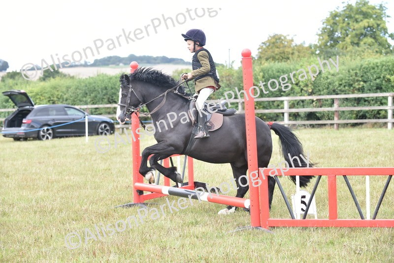 20250831-1828 - Class 8 - Hoof and Foot