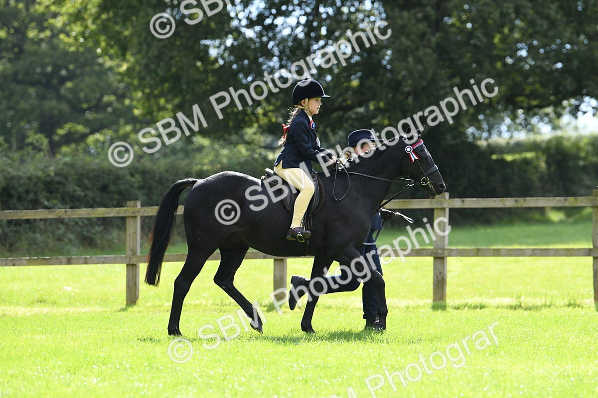 SBM_41137 - S19 - Lead Rein Show & Show Hunter Pony