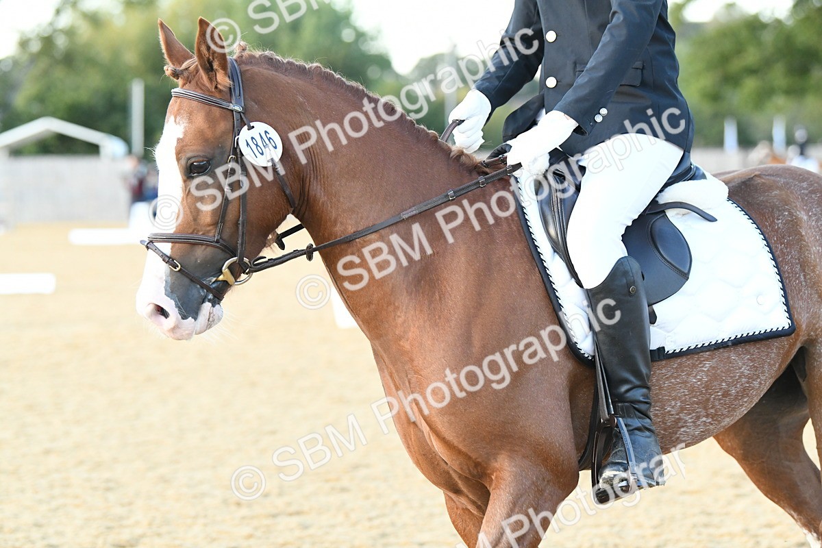 SBM_30983 - D16 - Small Tour Championship - Novice 28