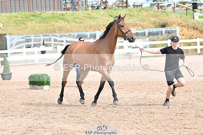 240717A-165747-03570 - Trot Up 4pm to 5pm