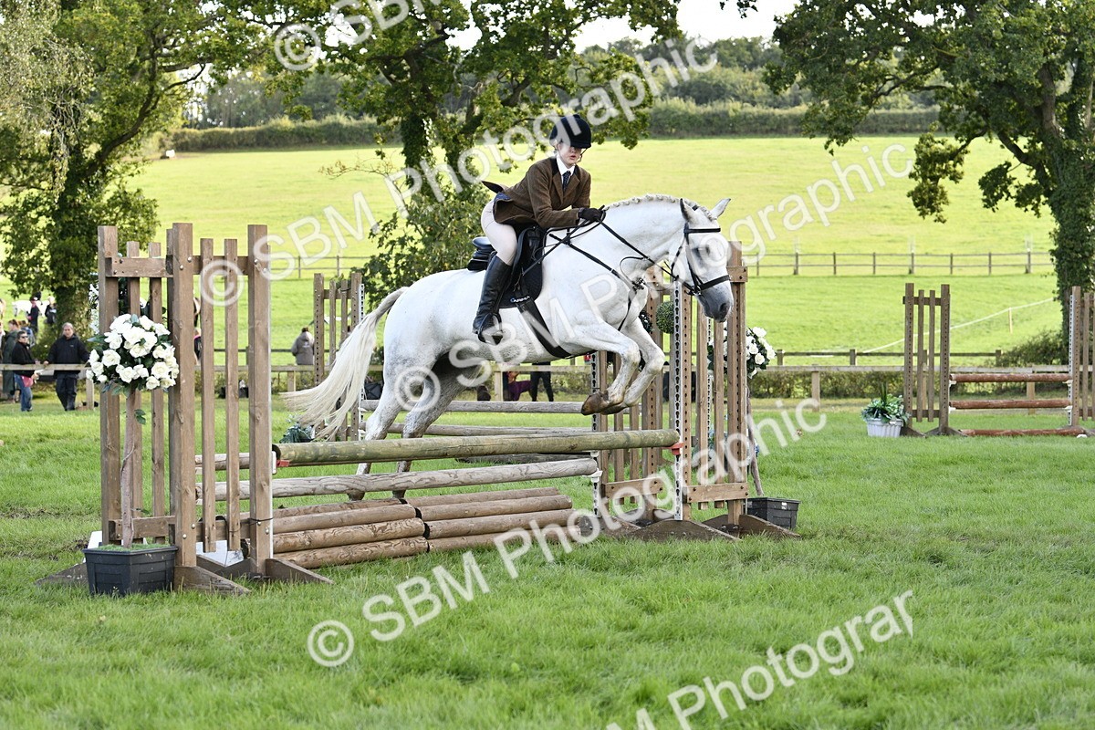 SBM_52183 - S35 - Working Hunter & Working Show Horse