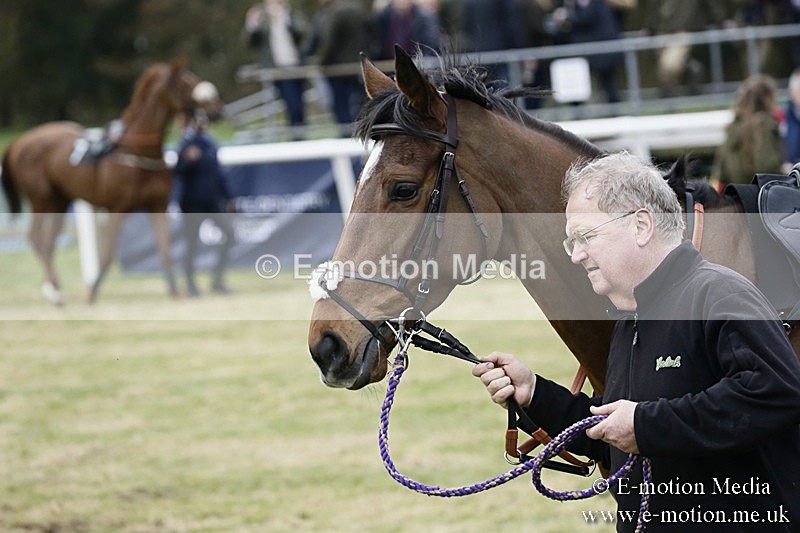 PtP 110318 188 - Hampshire Hunt Point-to-Point Hackwood Park 11/03/18
