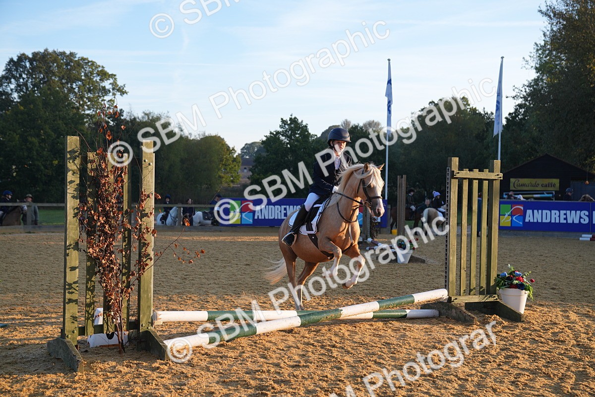 SBM_58819 - J63 - Minis Clear Round 30cm 40cm