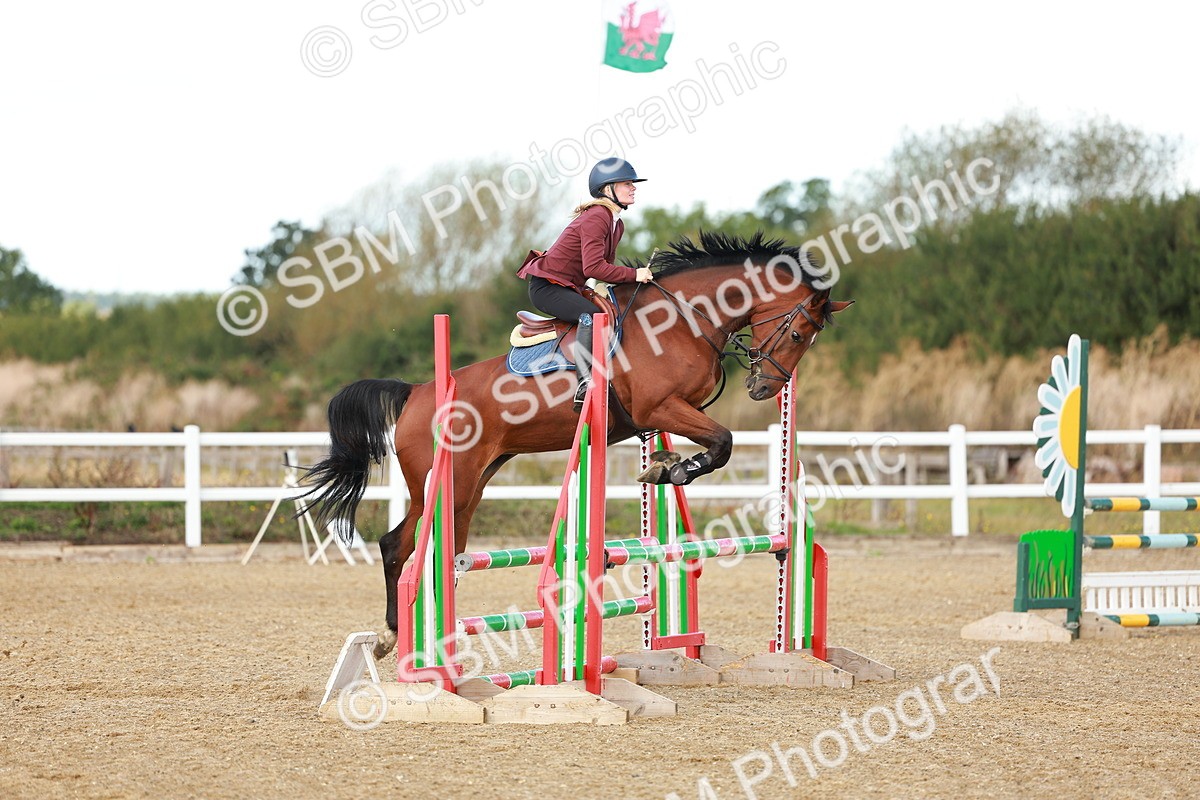 SBM_000641 - Class 2 - Senior British Novice - 90cm