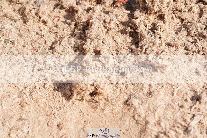 250510-084954-09626 - Cls 13 Snr Foxhunter