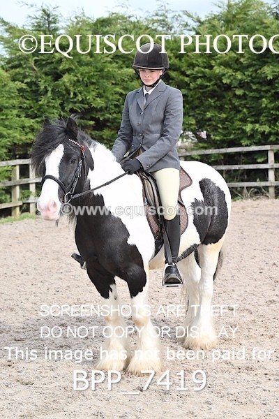 BPP_7419 - RING 1  (RIDDEN HORSES / IN HAND / VETERAN ETC)