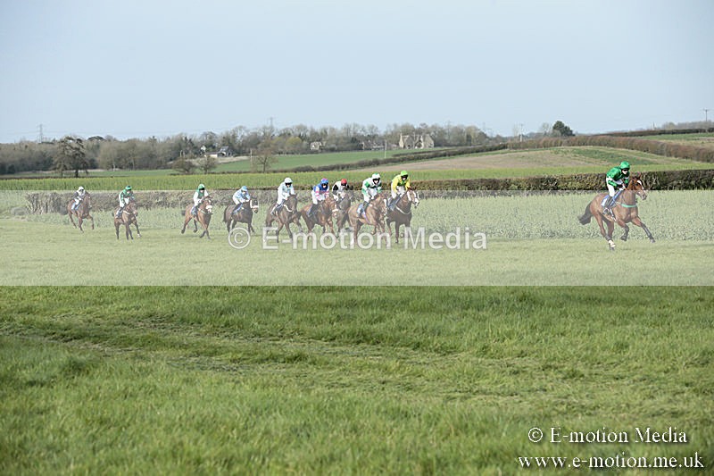 PtP 230319 455 - VWH Hunt Siddington Point-to-Point Racing 23/03/19