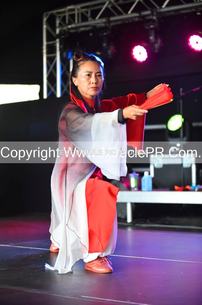 SH4_1646 - Tai Chi with Lisa Kay.
